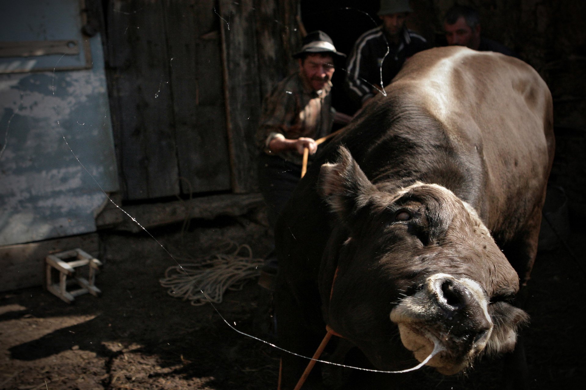 Кабардино-Балкария. 2009