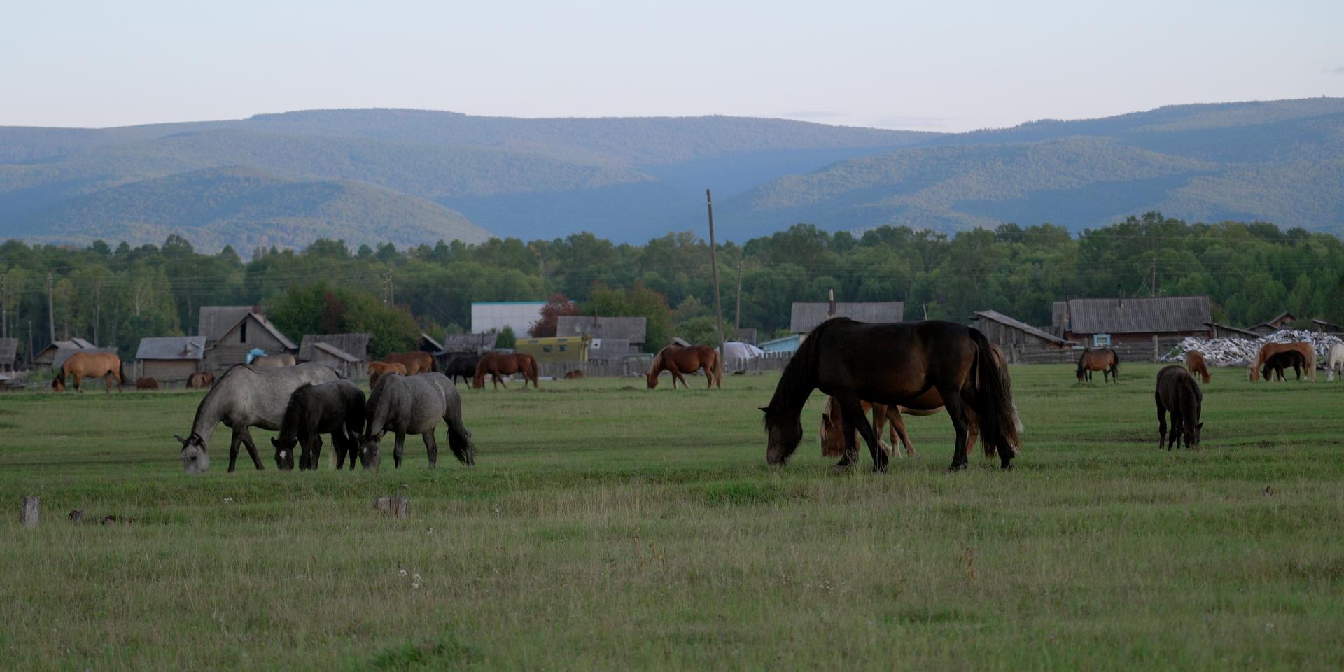 «Нам кричат: “Да это же герои!” А отцов и матерей этих героев просто продали»