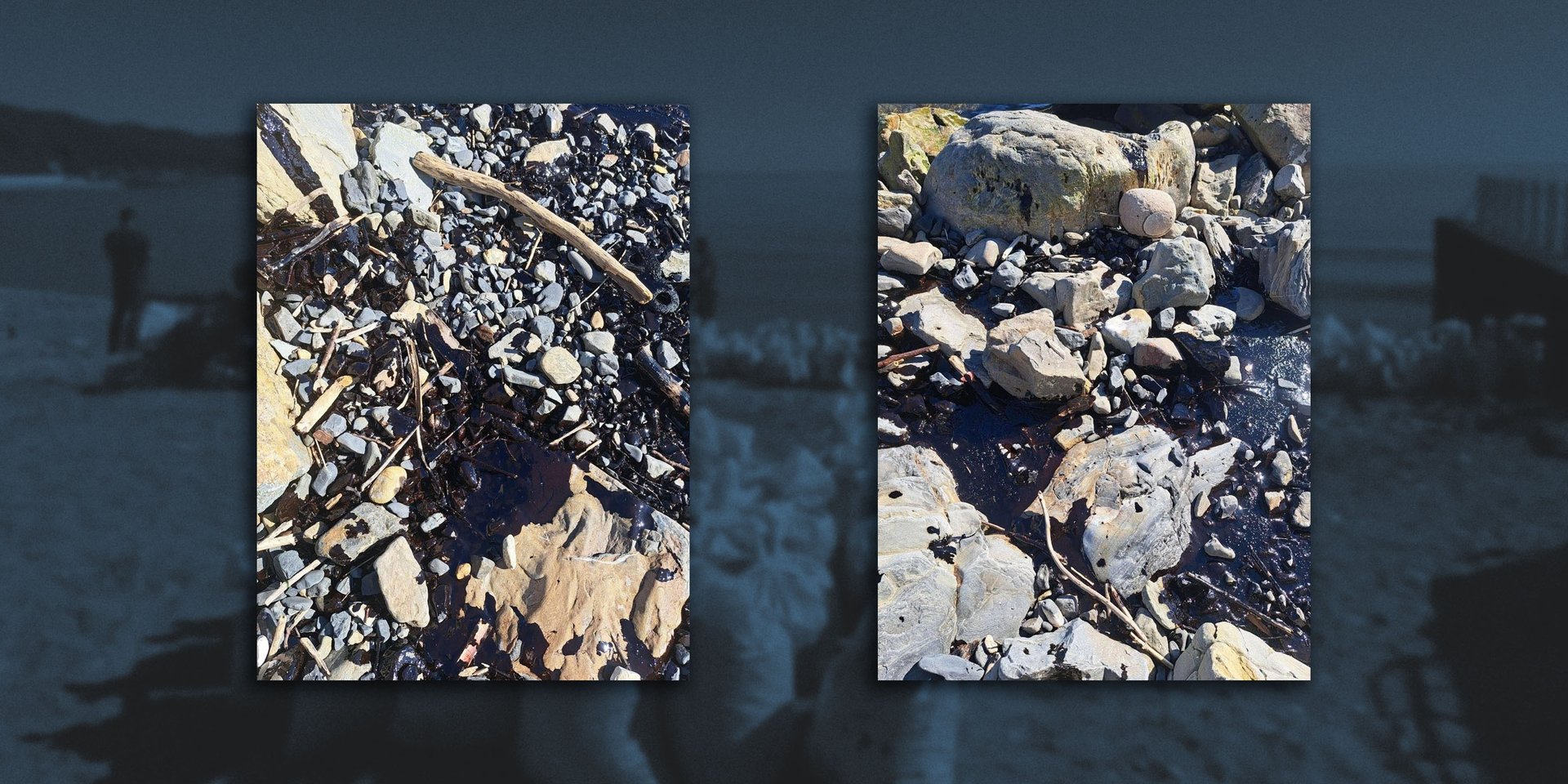 Полуметровые нефтяные пятна продолжают растекаться у побережья Черного моря