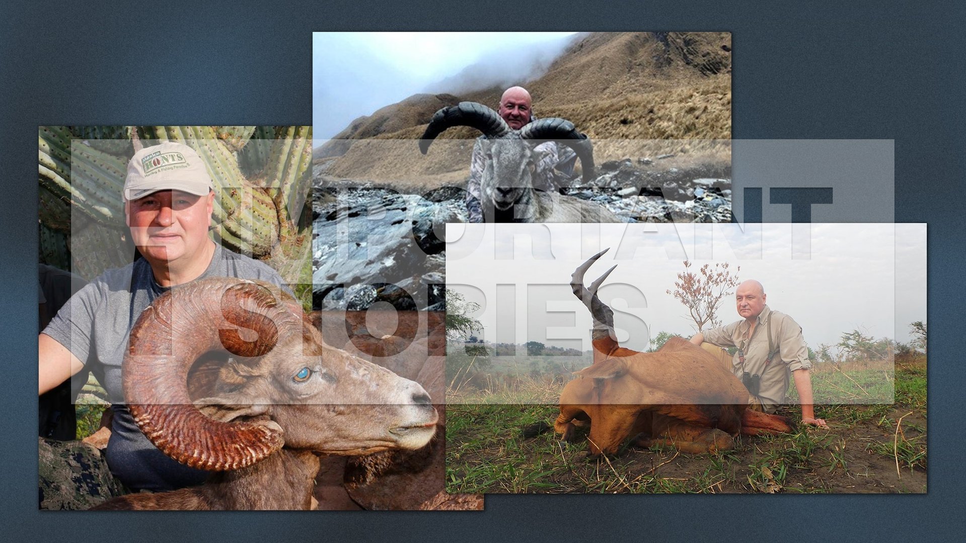 Dmitry Klyuev at safaris in Mexico, Nepal and Uganda (left to right)