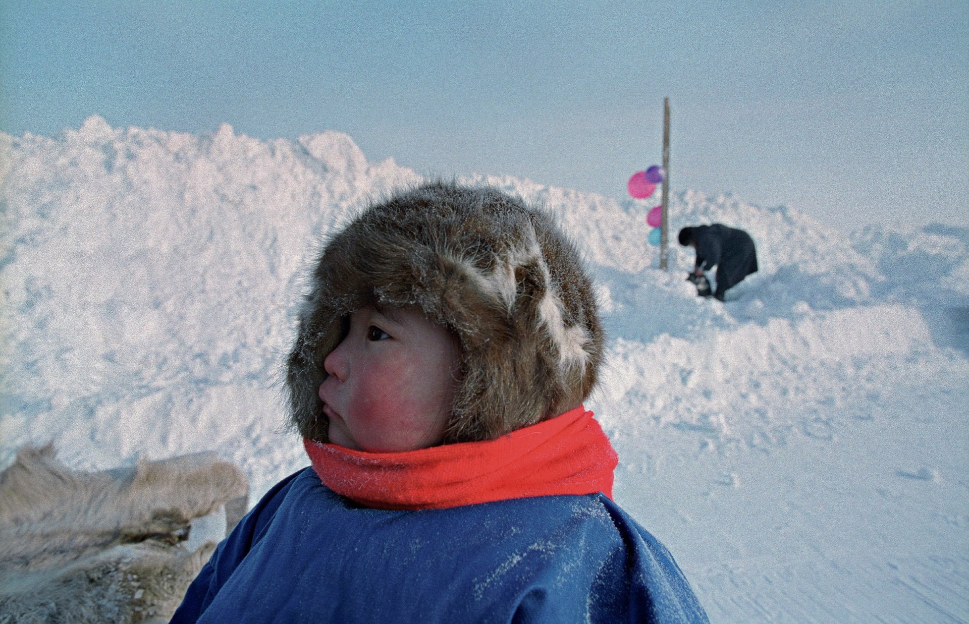 Камчатка. 2006