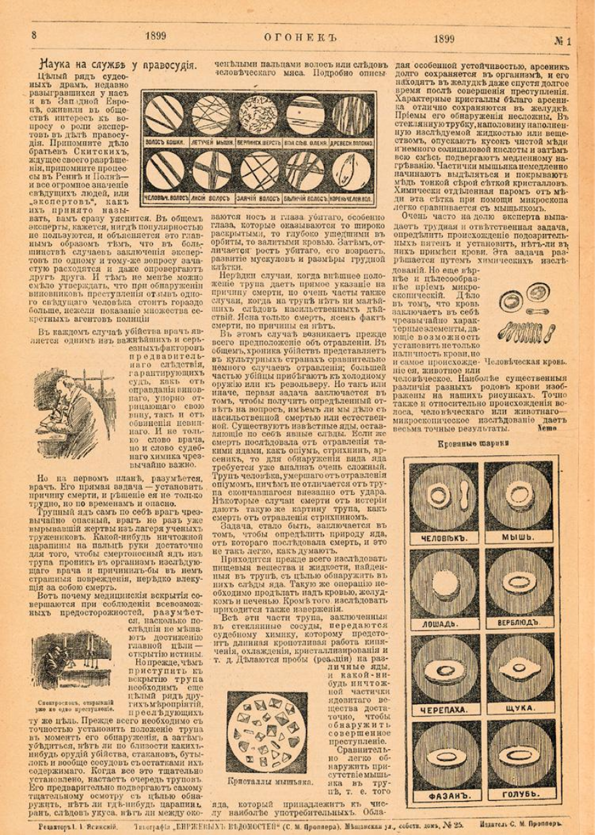 Инфографика с изображением красных кровяных телец (эритроцитов) в первом номере журнала «Огонек» в 1899