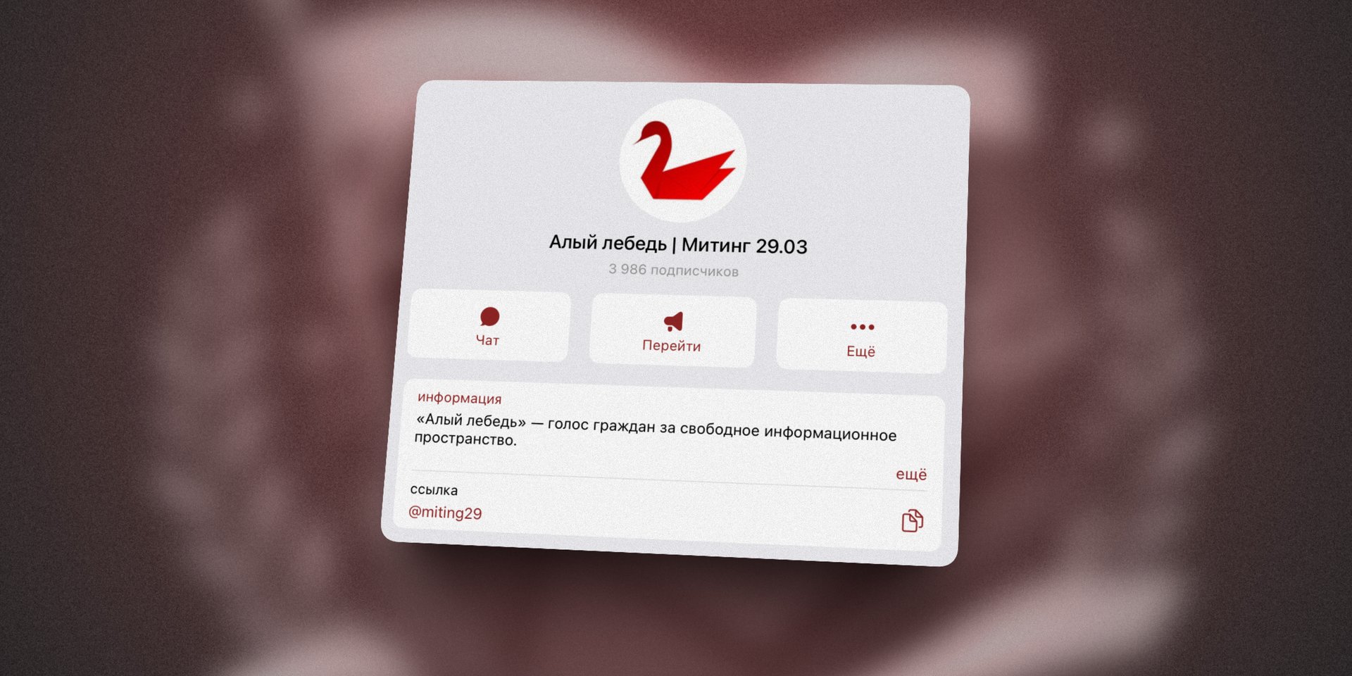 В Москве силовики пришли к двум организаторам недавно появившегося движения «Алый лебедь»