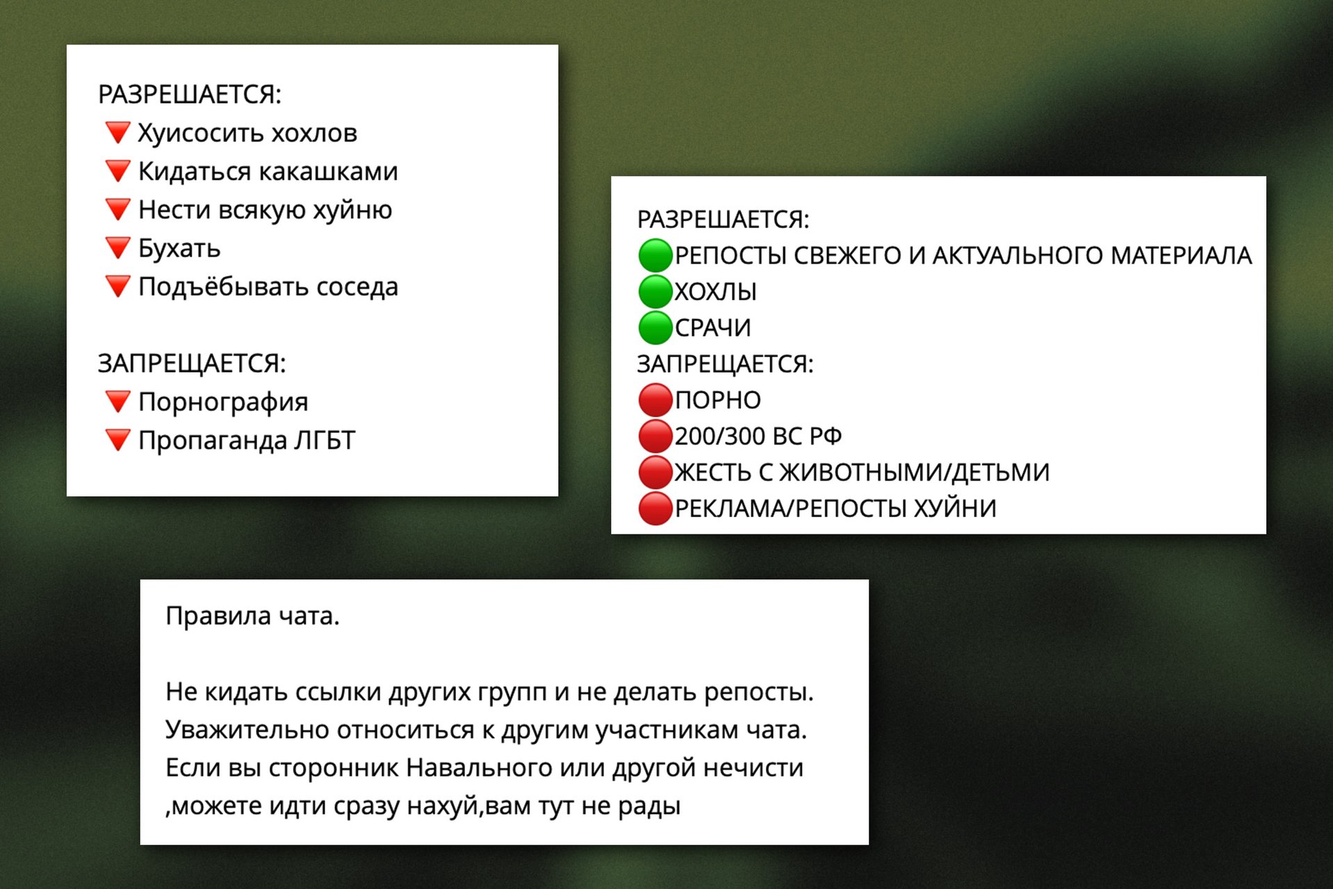 Правила чатов военных снафф-каналов
