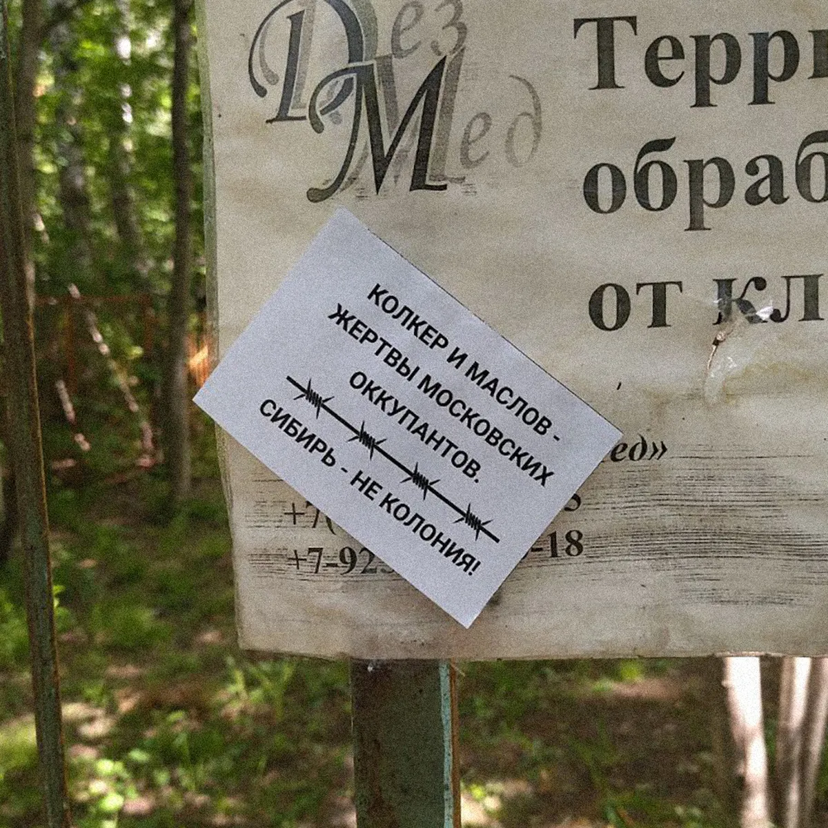 В Новосибирске стали появляться листовки и плакаты