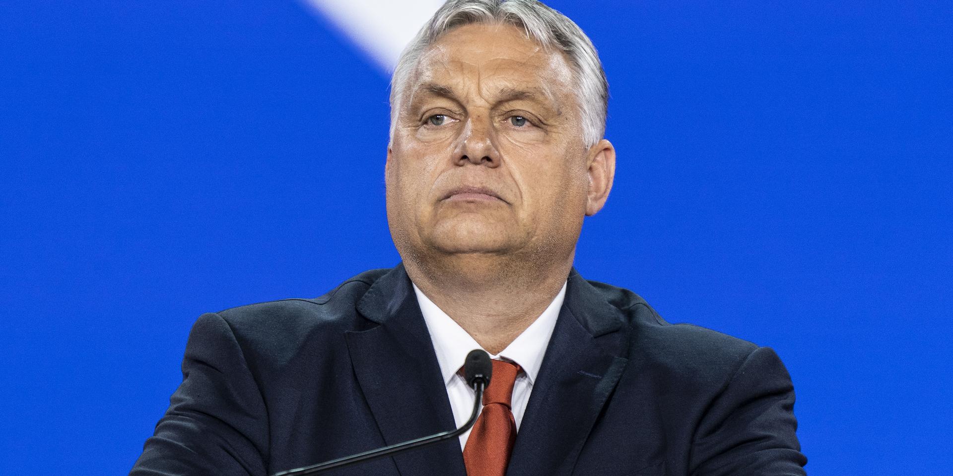 Трамп убедил Орбана изменить свою позицию насчет вступления Украины в ЕС — Politico