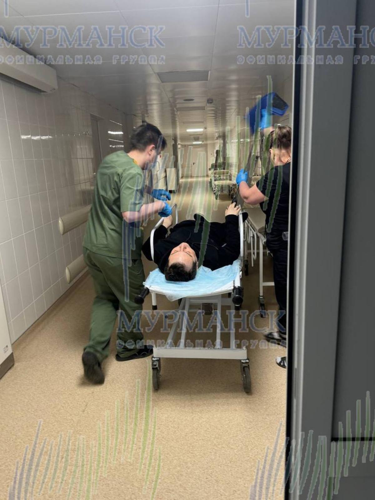 Чибис в больнице