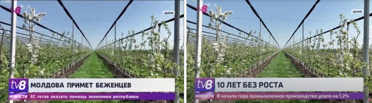 Кадр из новостного сюжета. Слева — фейк, справа — оригинал