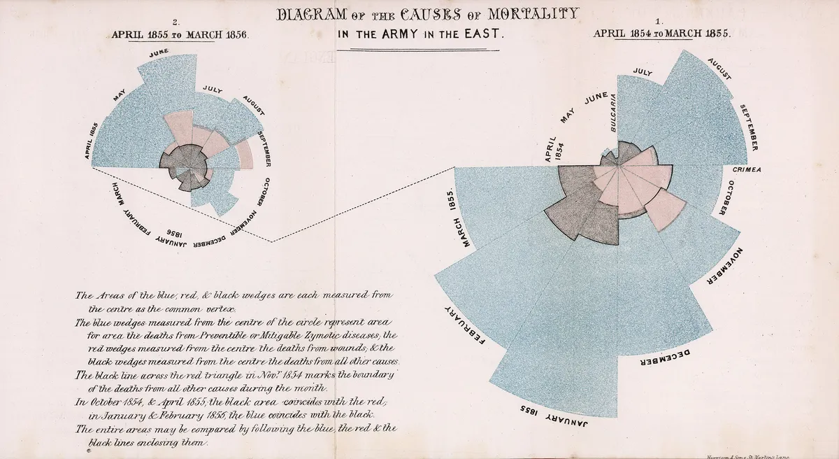 Диаграммы сестры милосердия Флоренс Найтингейл, 1858. Показывают, как много смертей в армии вызваны не боевыми ранами, а антисанитарией